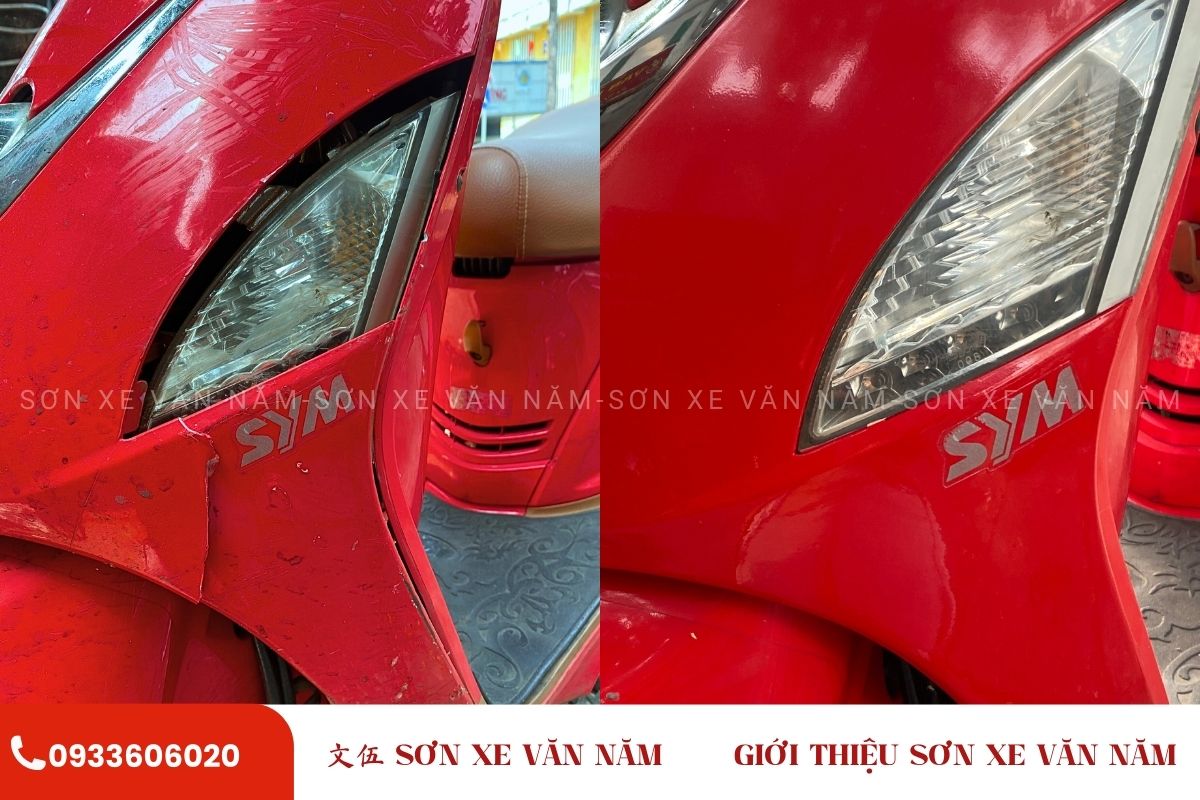 son dam vet tray son xe van nam