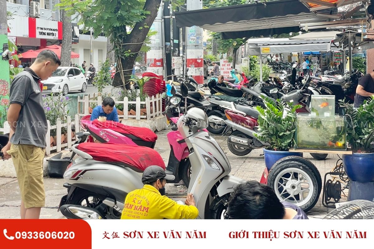 son xe quan 5 son xe van nam